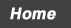 home button
